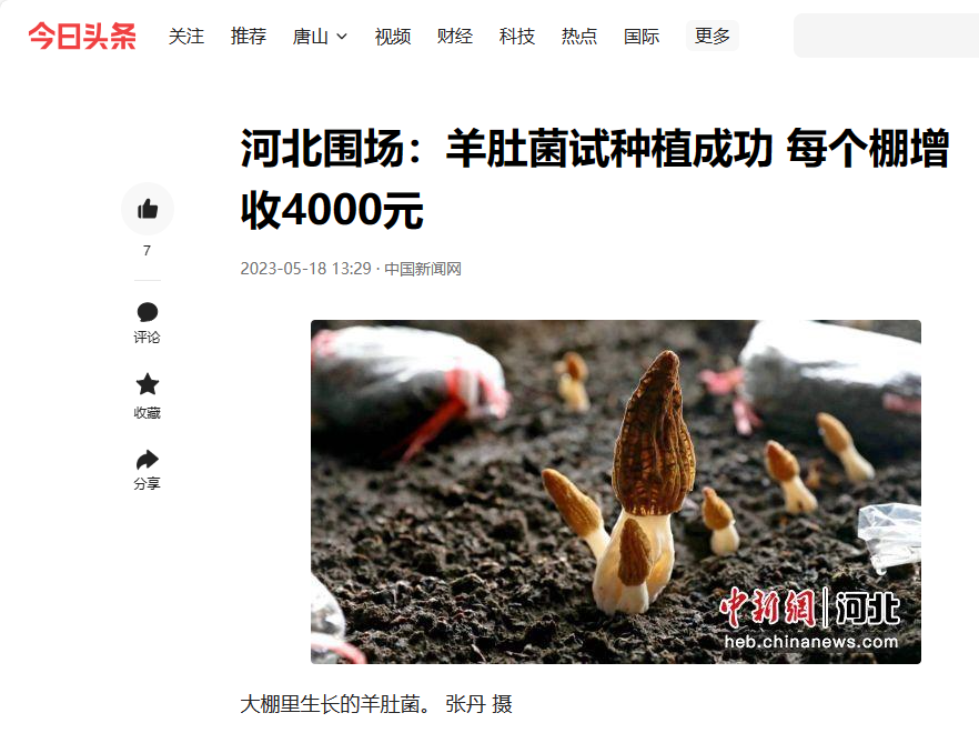 世俱杯足球直播