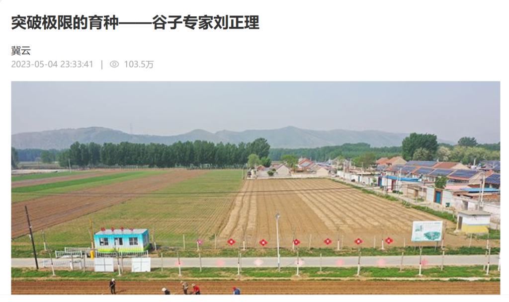 足球世俱杯高清官网